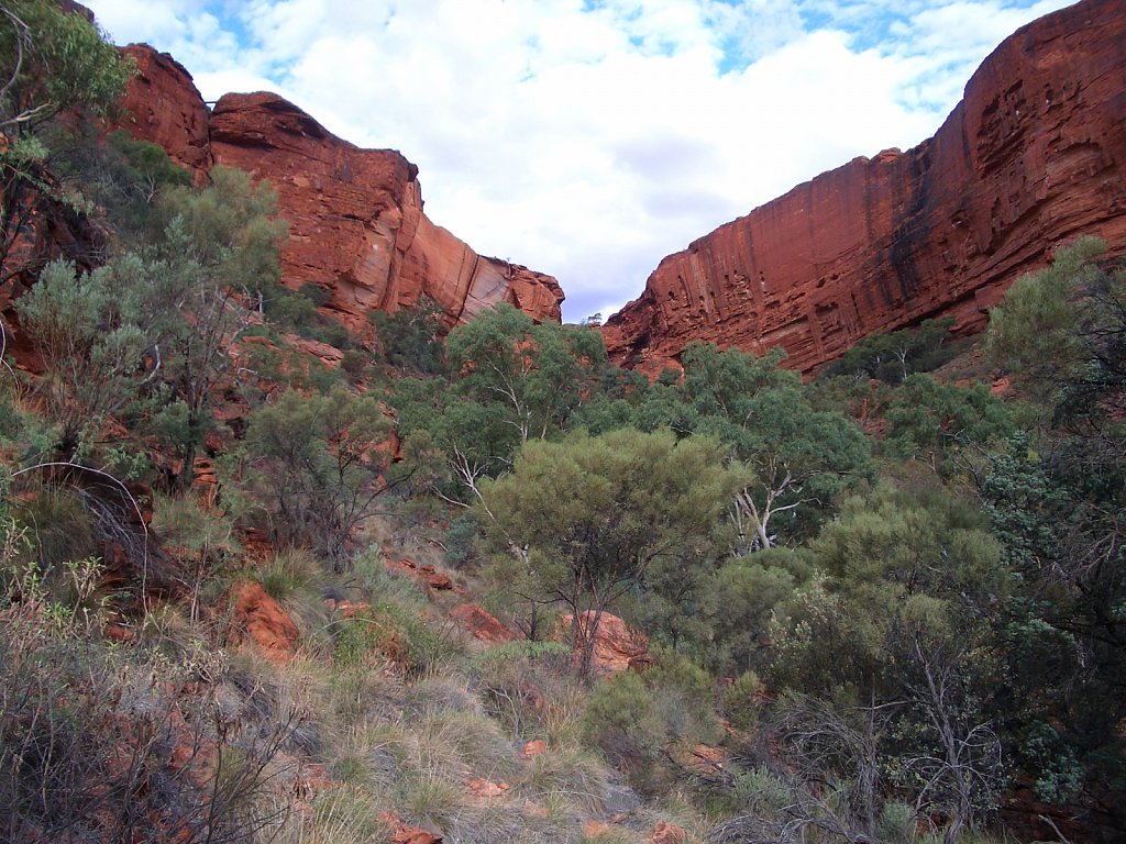 Bottom of the Kings Canyon