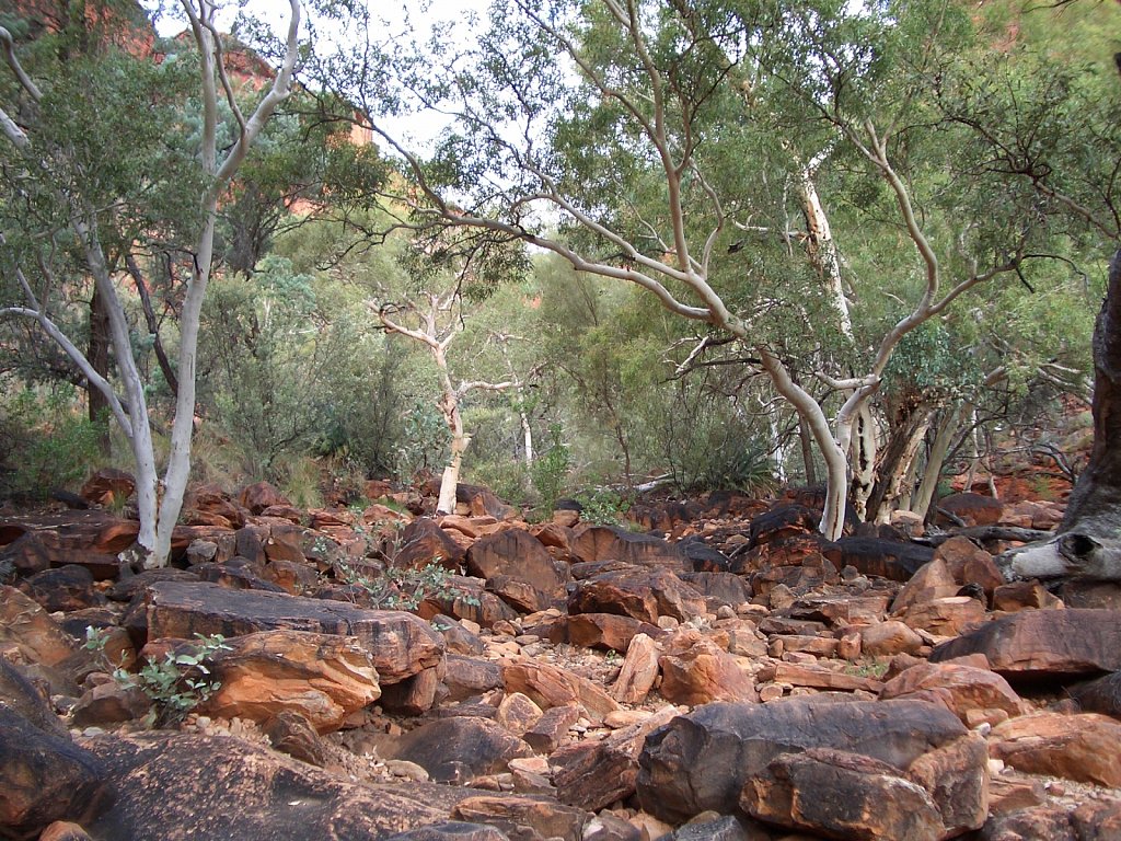 Bottom of the Kings Canyon
