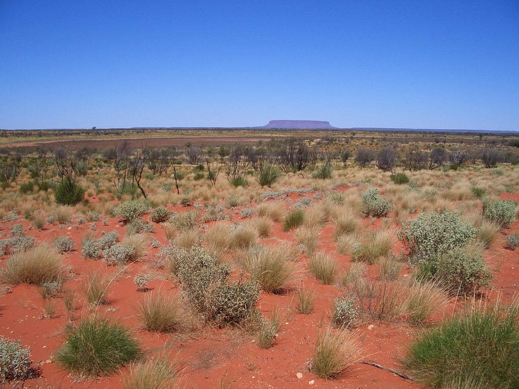 On the way to Uluru: view to Mount Conner
