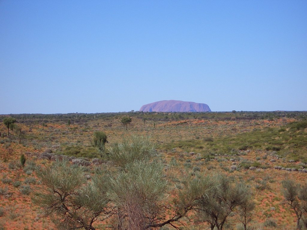 View to Uluru (Ayers Rock)