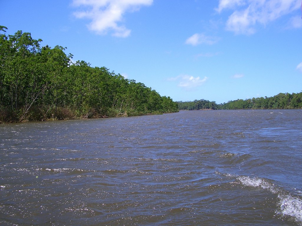 Boat trip on Daintree River