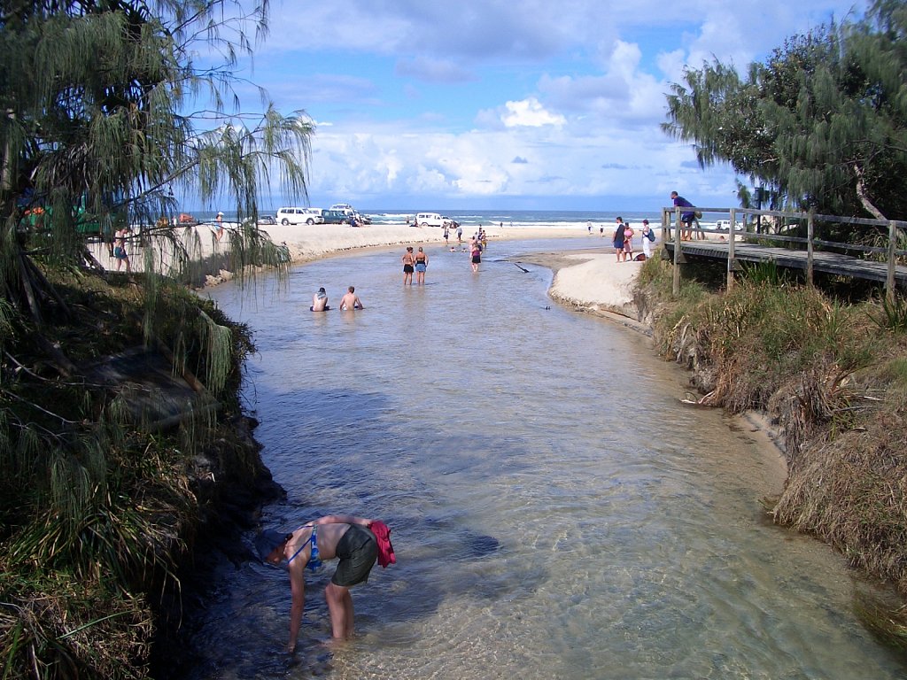Fresh water river "Eli Creek" on Fraser Island