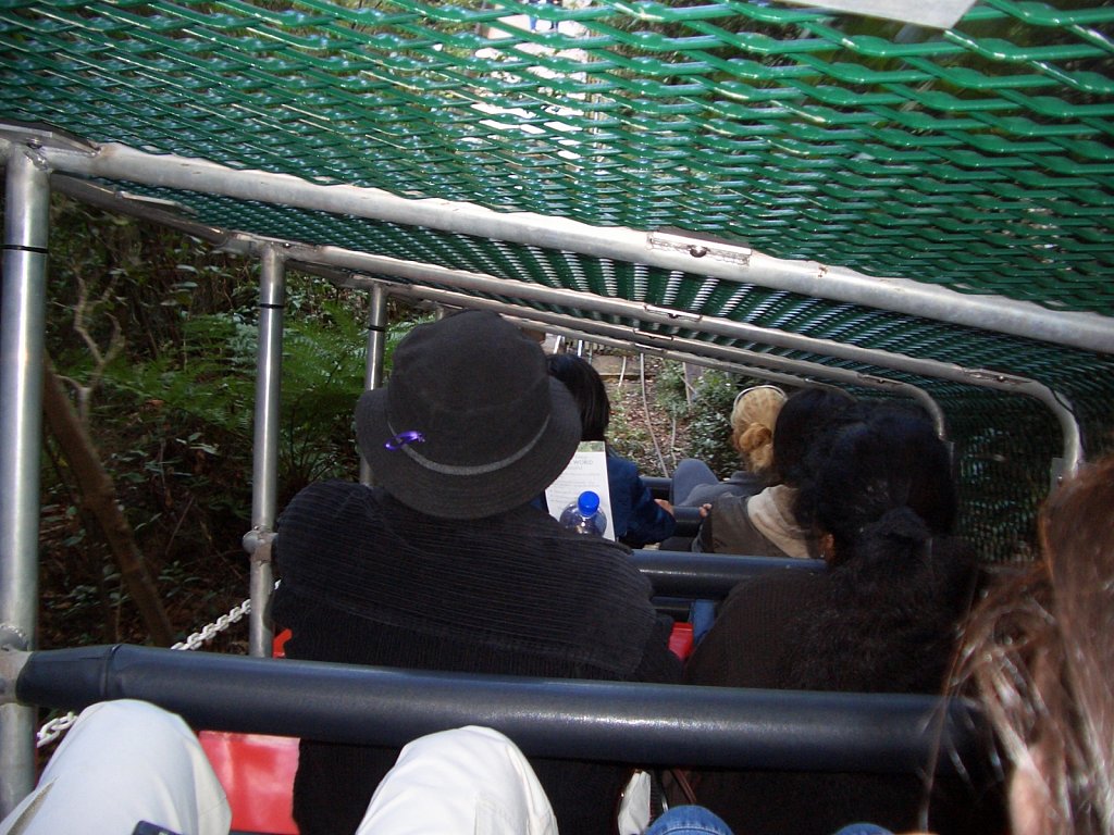 Scenic Railway