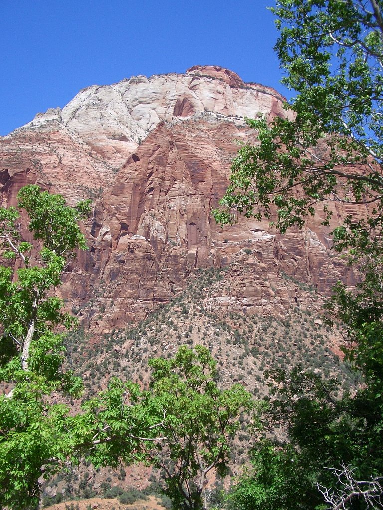 Zion National Park