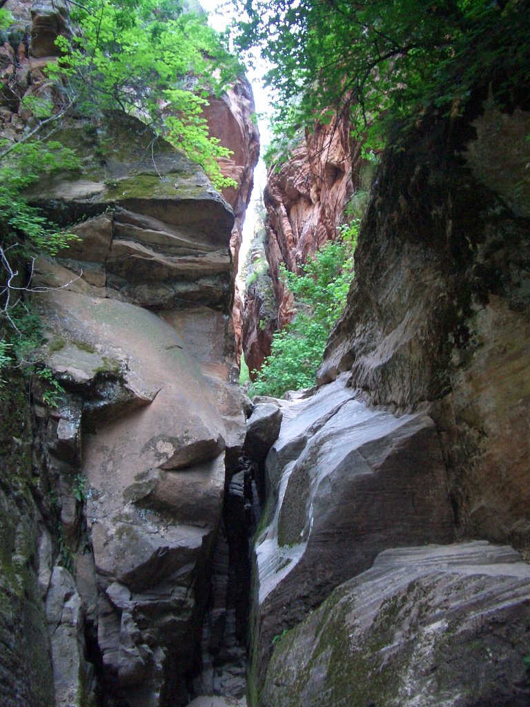 Zion National Park