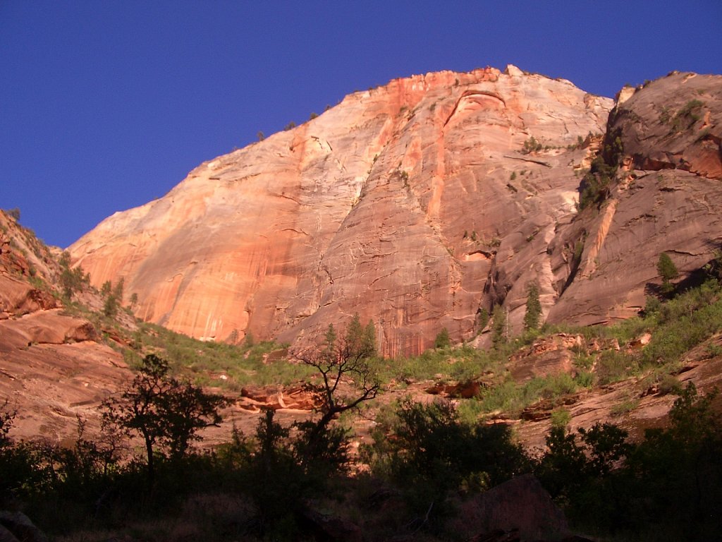 Zion National Park