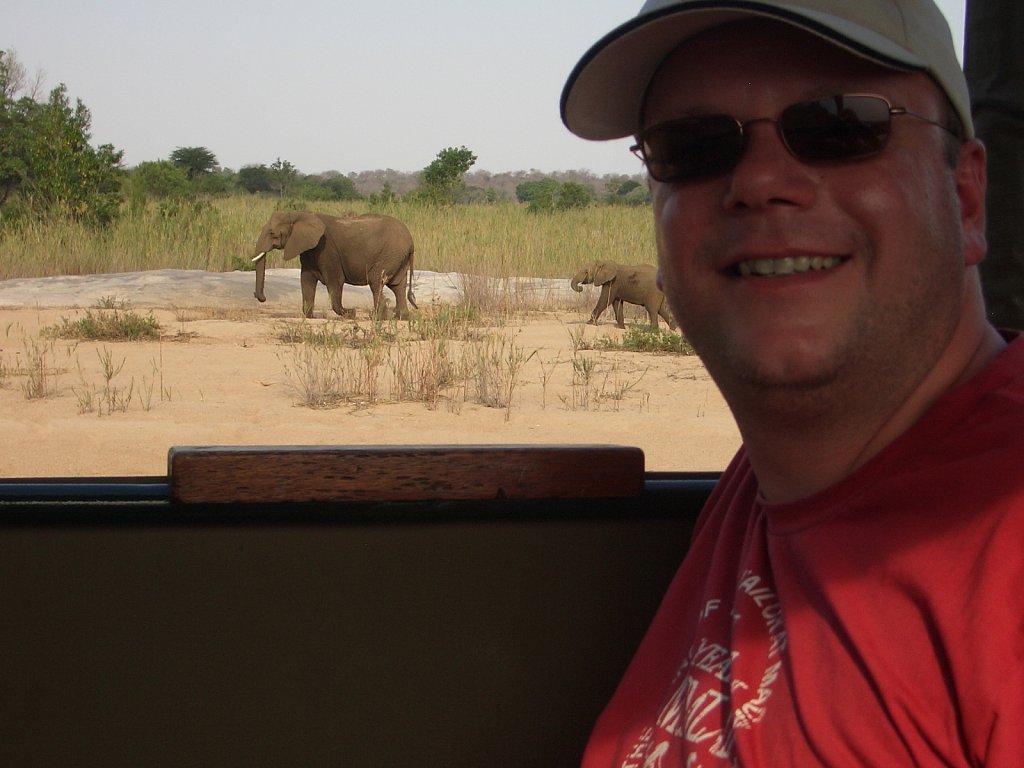 Elephants