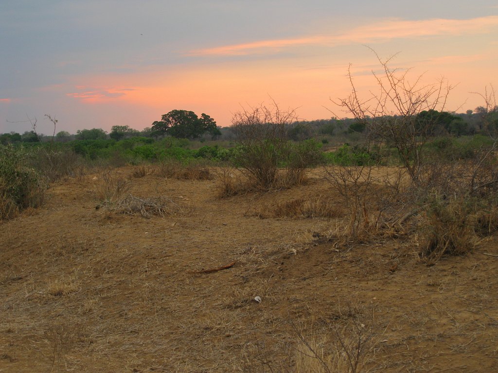 Sunset at Kruger National Park