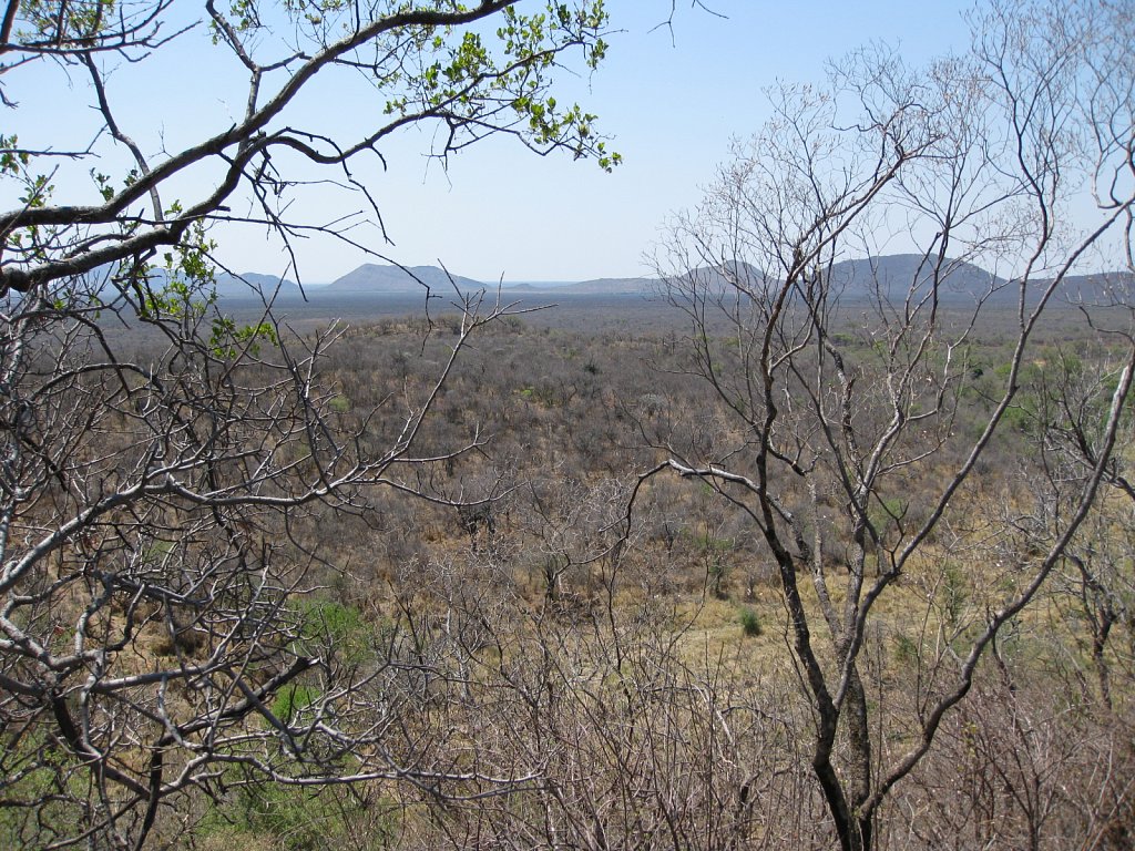 View from terrace