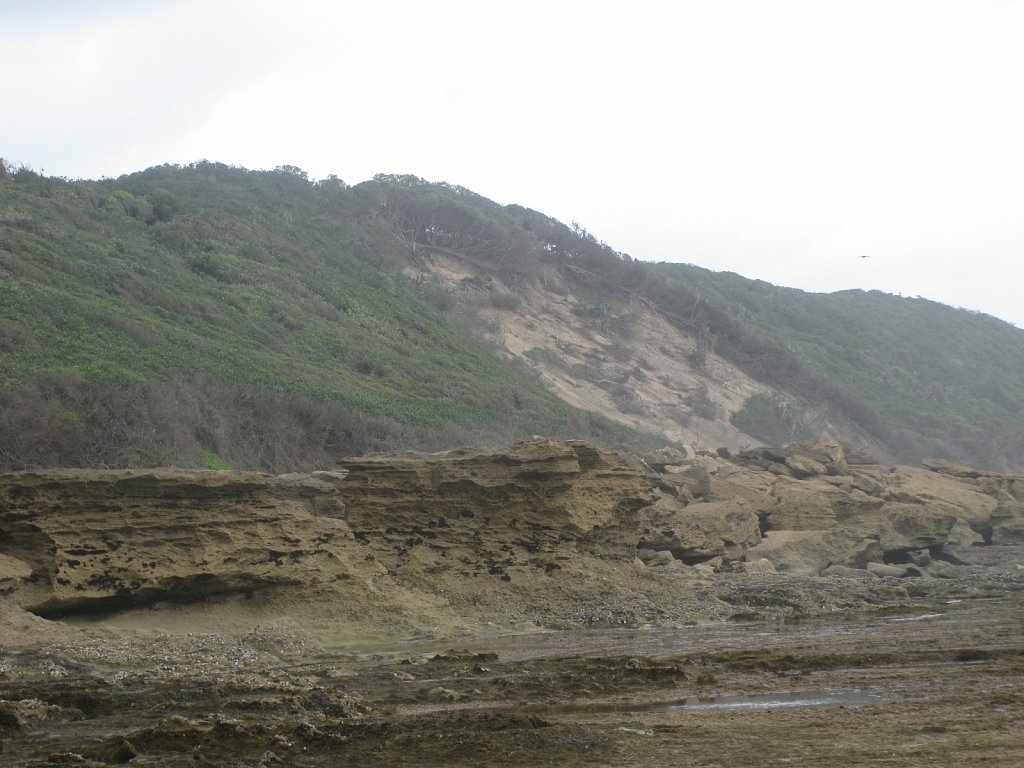 Dunes in the Wetland Park