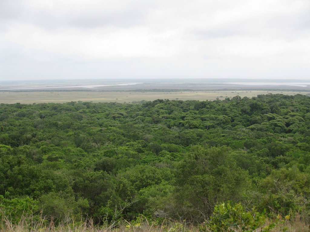 Outlook from the dunes over the wetlands