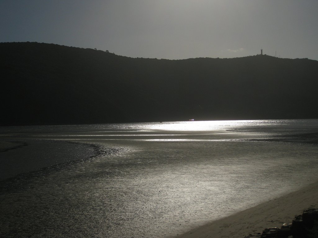 Knysna Lagoon at low tide