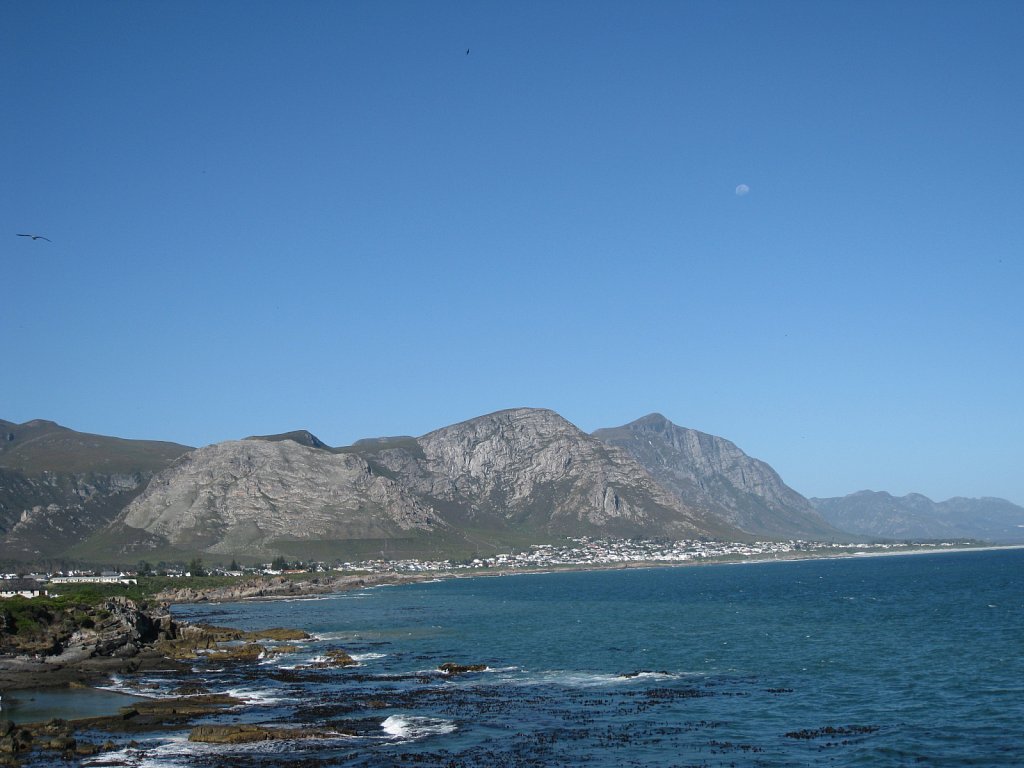 Hermanus