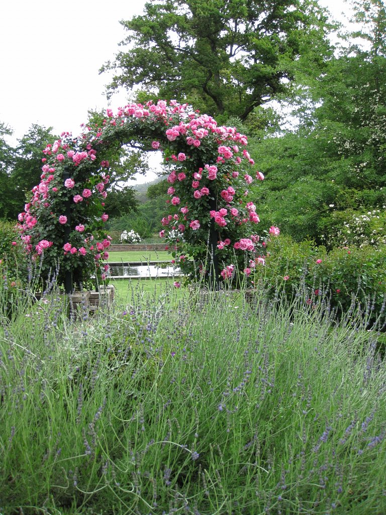 Garden of winery Rustenberg