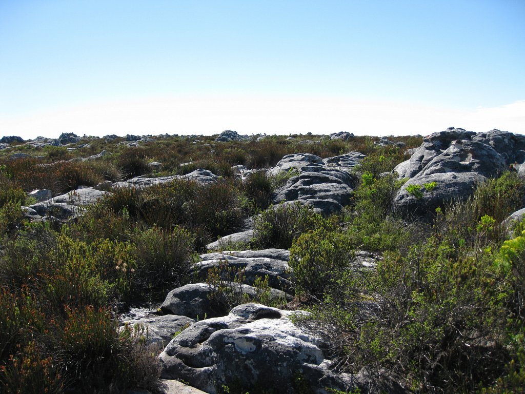 Top of the Table Mountain: Flat as a table