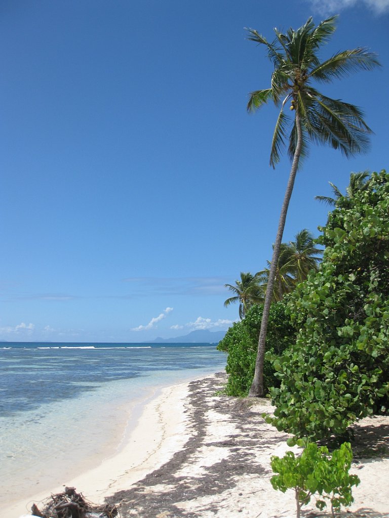 Beach "Bois Jolan" in Sainte-Anne