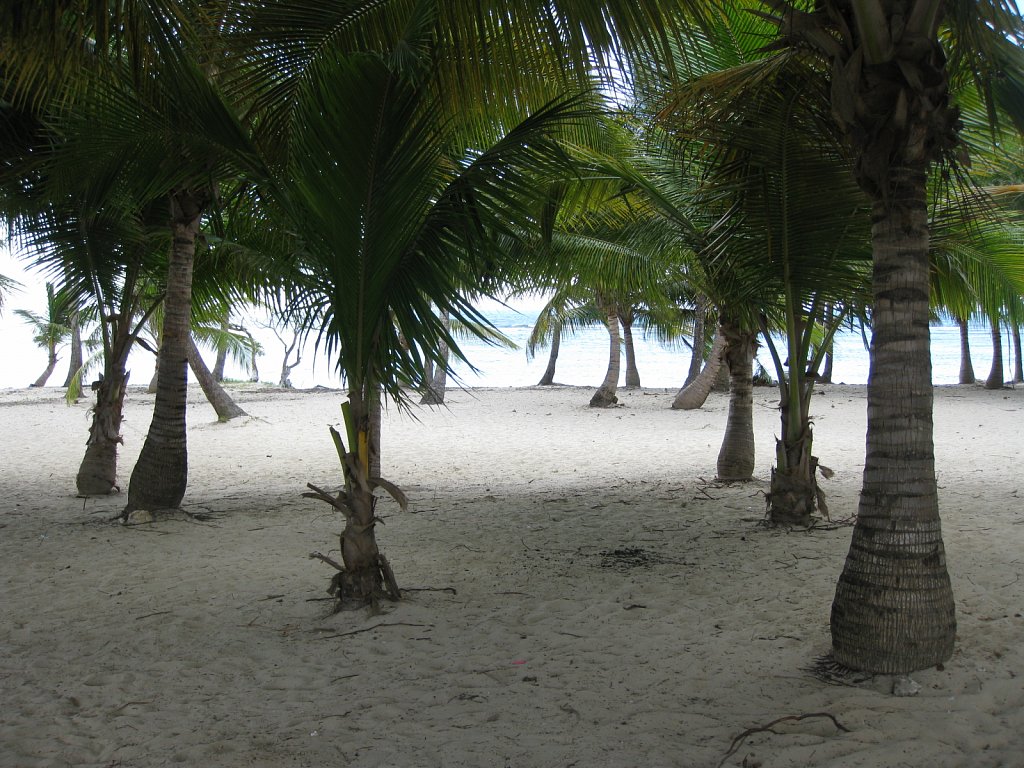 Beach "Bois Jolan" in Sainte-Anne