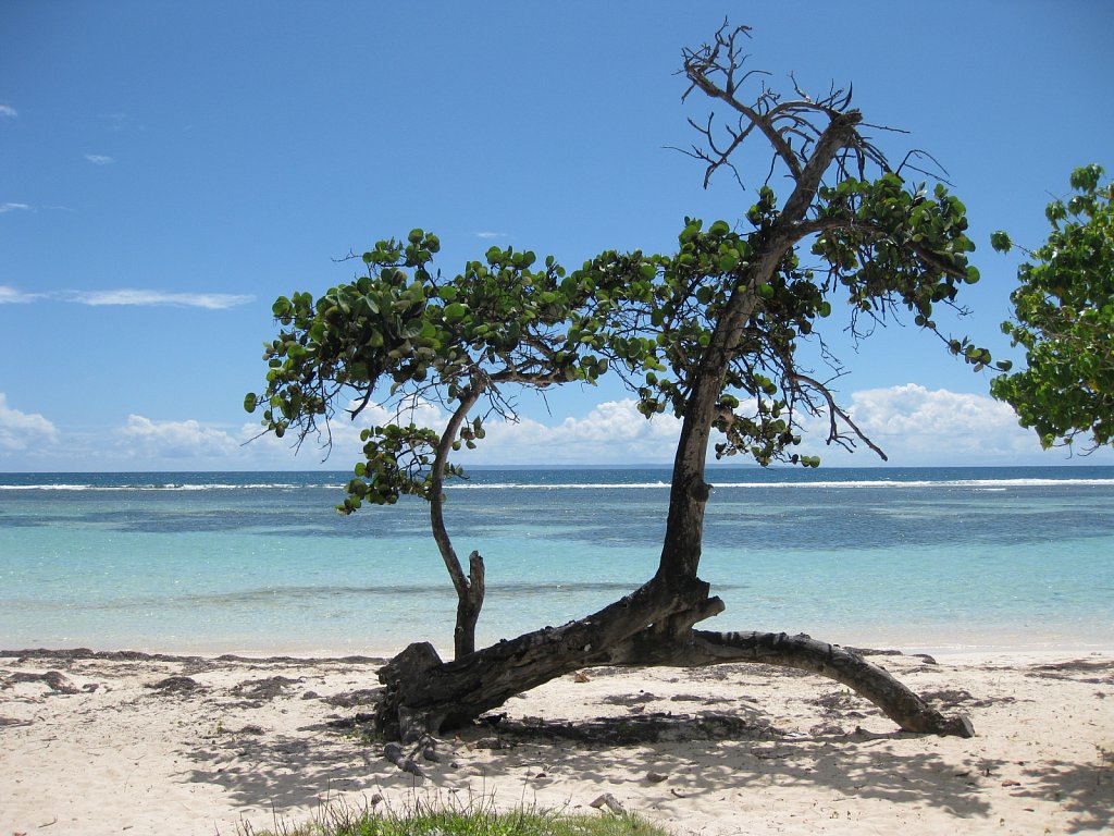Beach "Bois Jolan" in Sainte-Anne