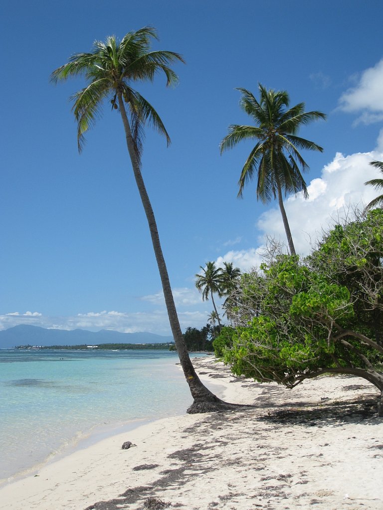 Beach "Bois Jolan" in Sainte-Anne