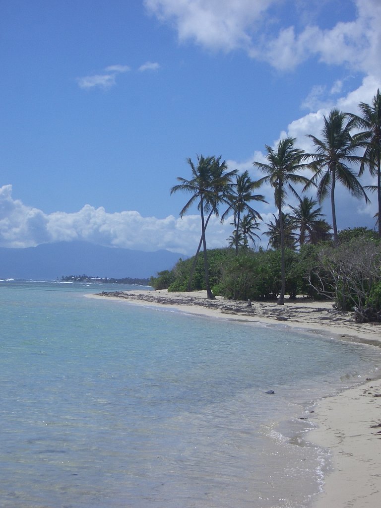 Beach "Bois Jolan" in Sainte-Anne