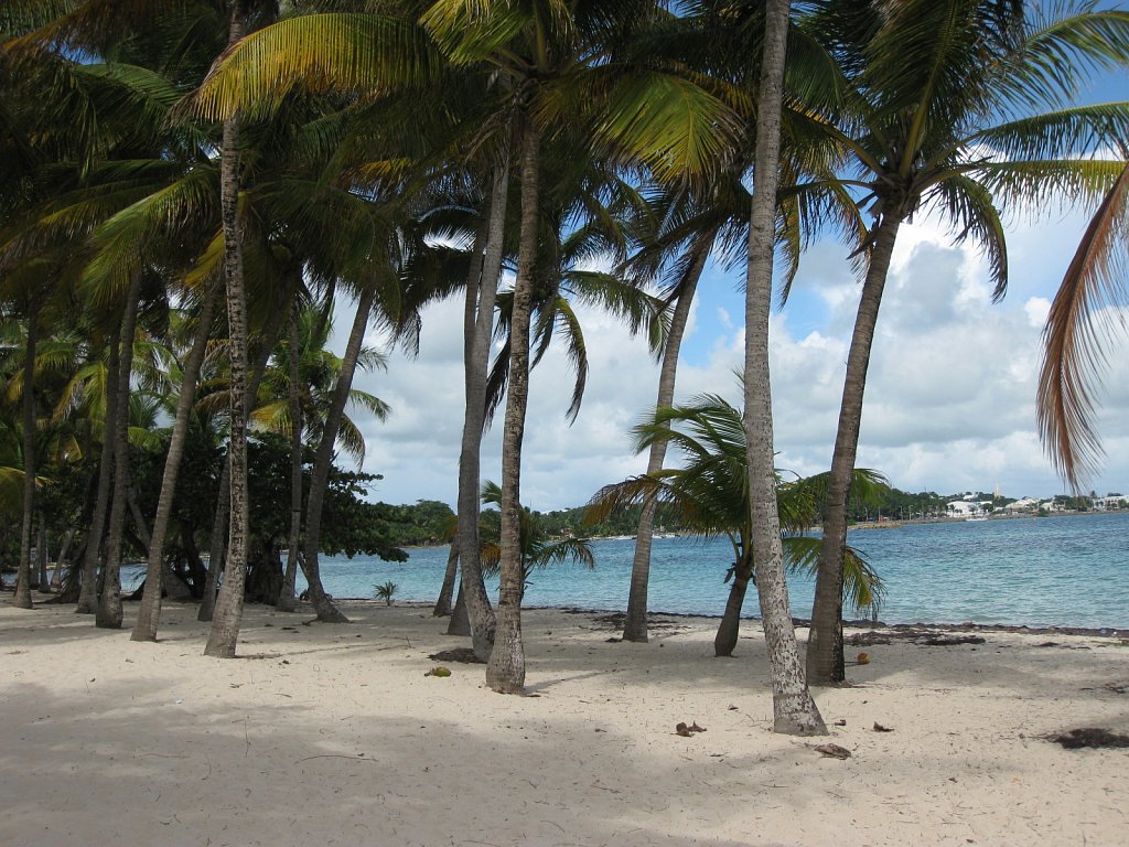 Beach "La Caravelle" in Sainte-Anne
