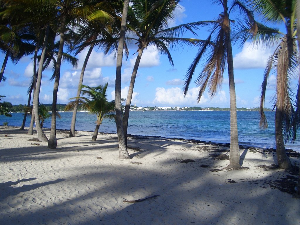 Beach "La Caravelle" in Sainte-Anne