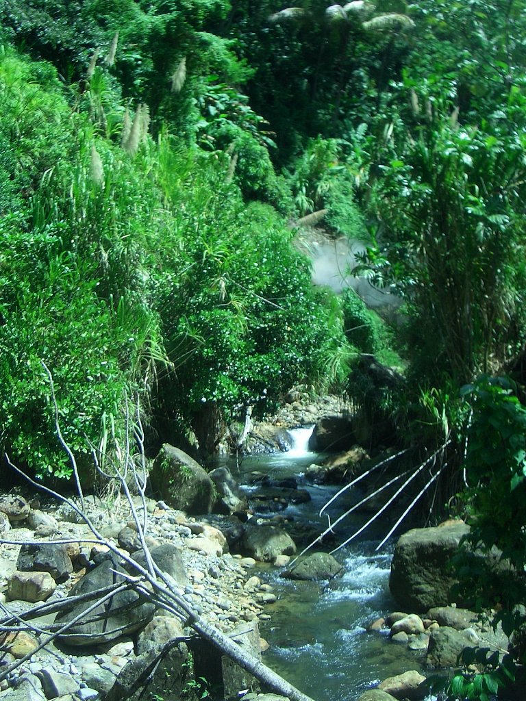 Trafalgar Falls
