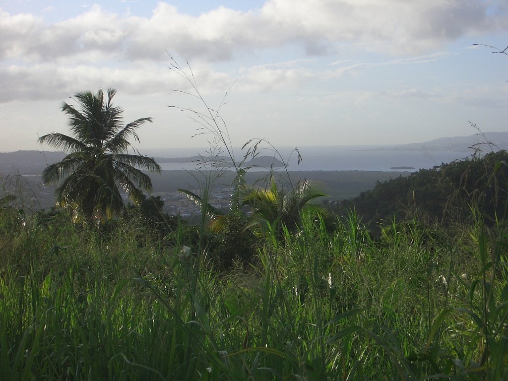 View on the trip