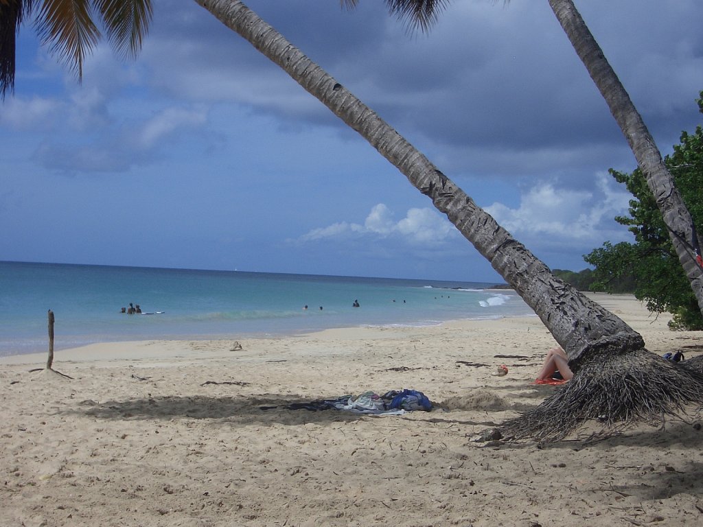 Beach "La Plage des Salines" near Sainte-Anne