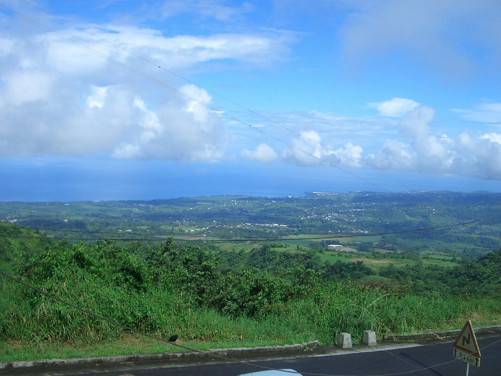 View on the trip