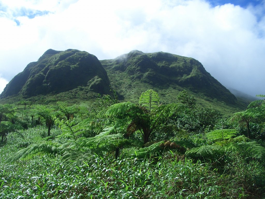 Mount Pelée