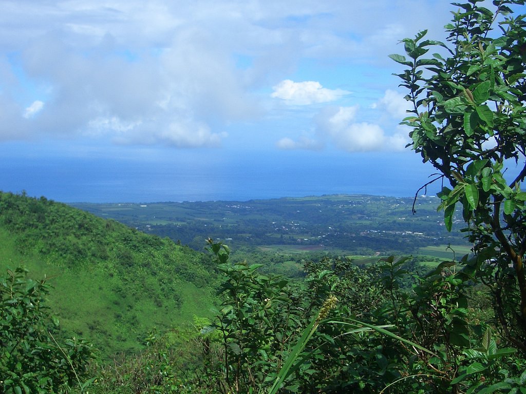 View on the trip