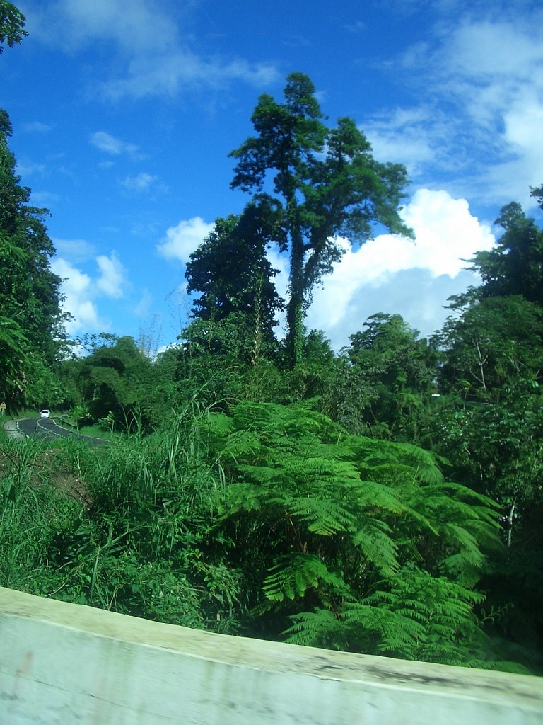 View on the trip