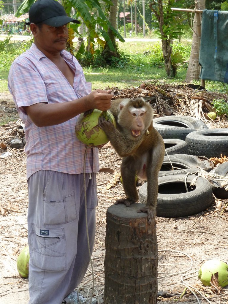 Trainer of the monkey