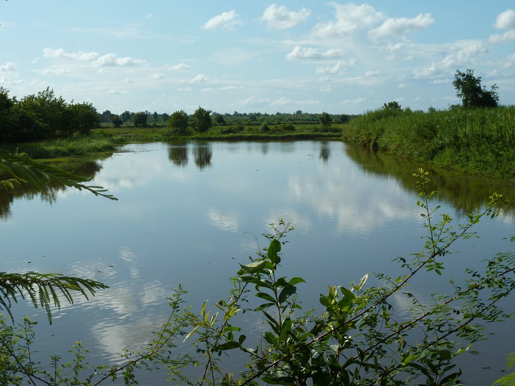 Landscape near Wat Kham Chanot