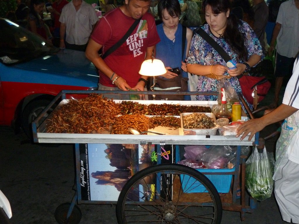 Fried insects