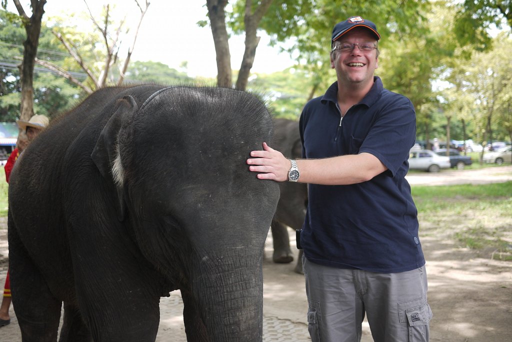 Day trip to Ayutthaya  with friends- Elephants