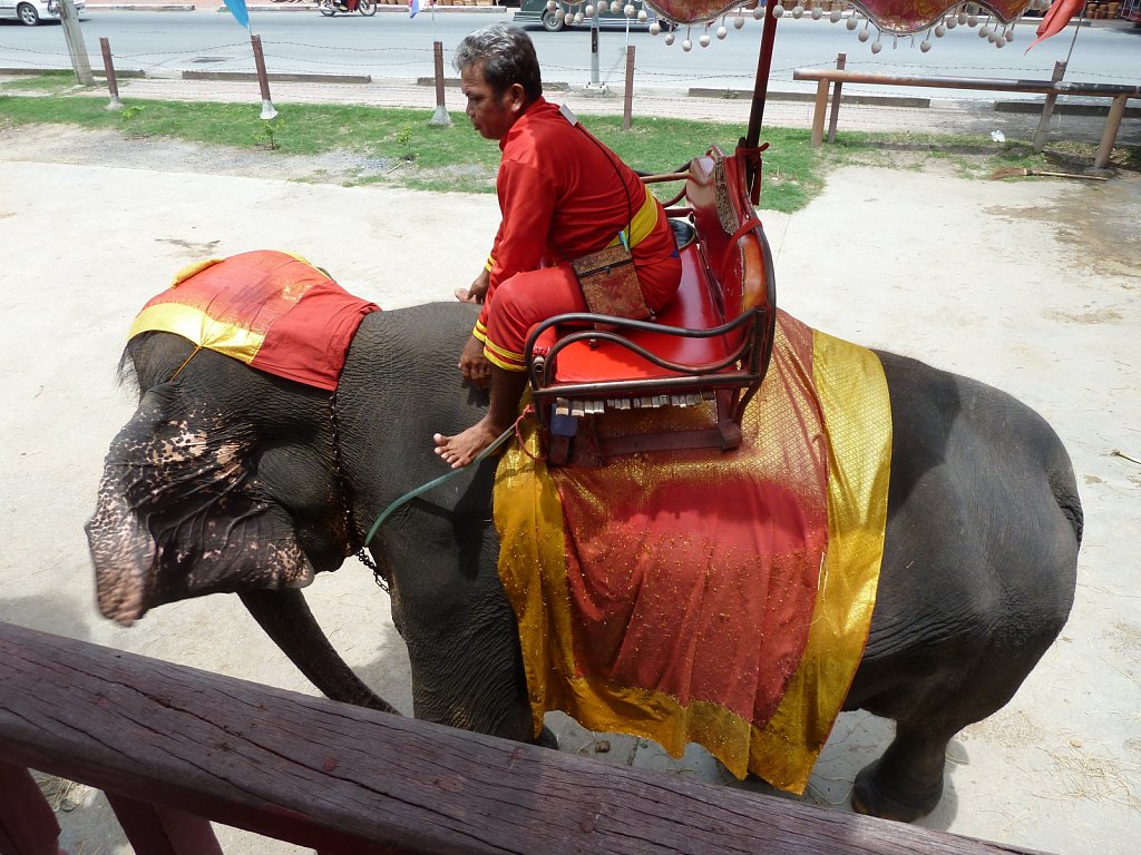 Elephant riding