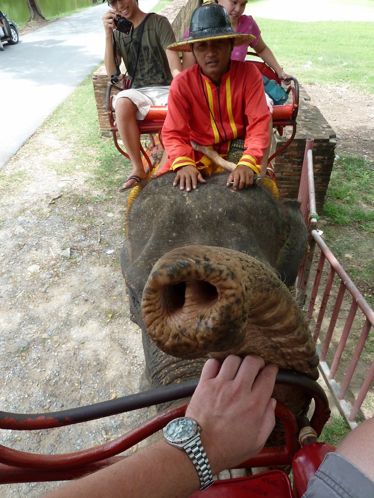 Elephant riding