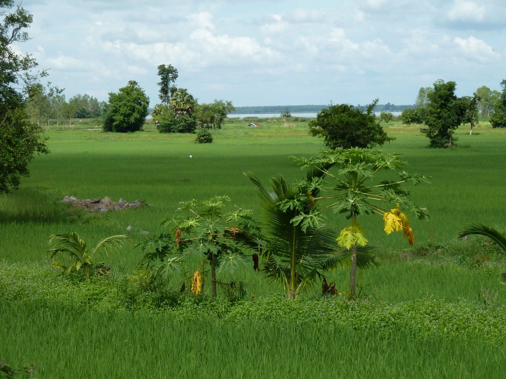 Landscape near Huai Luang lake