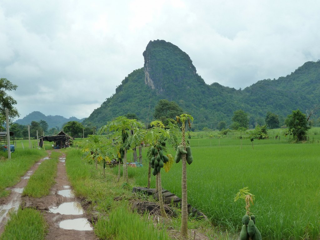 Thailand 2011