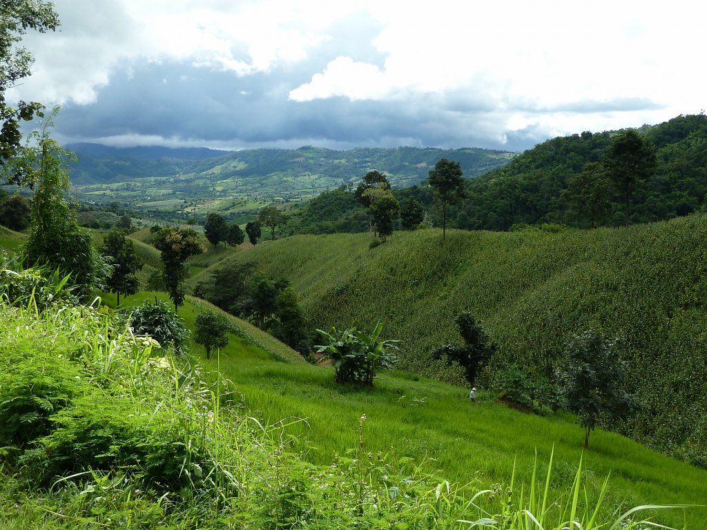 Landscape near Loei