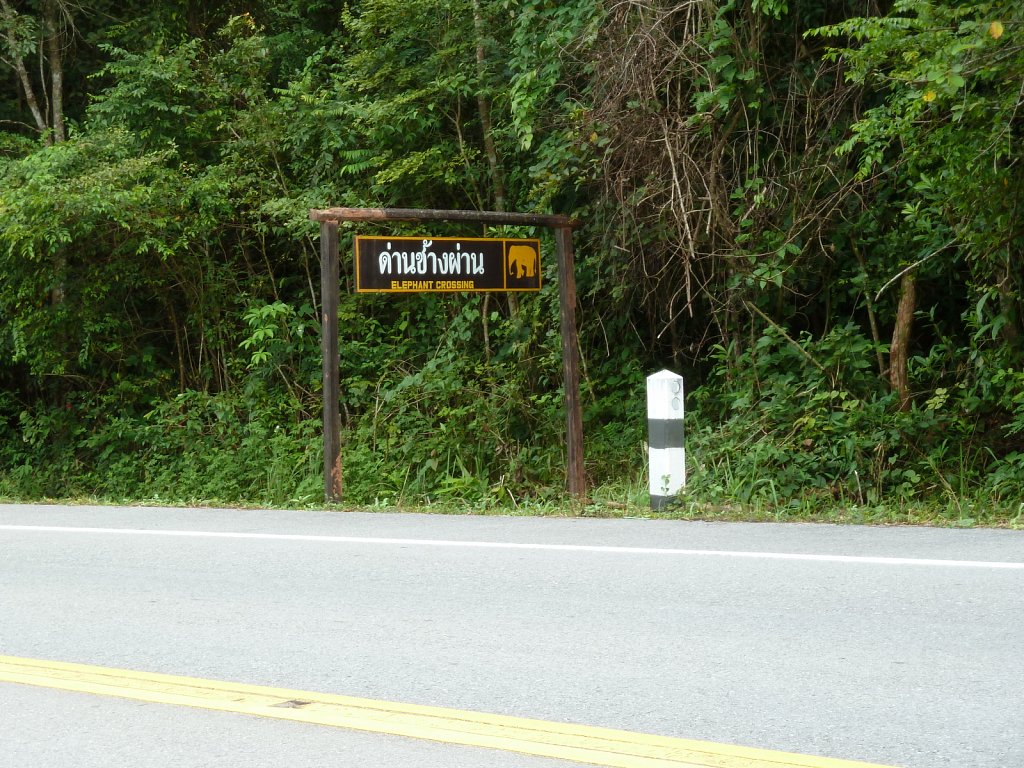 Elephant crossing road sign