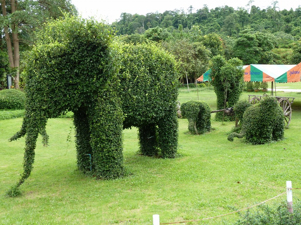 Phu Foi Lom park near Udon Thani