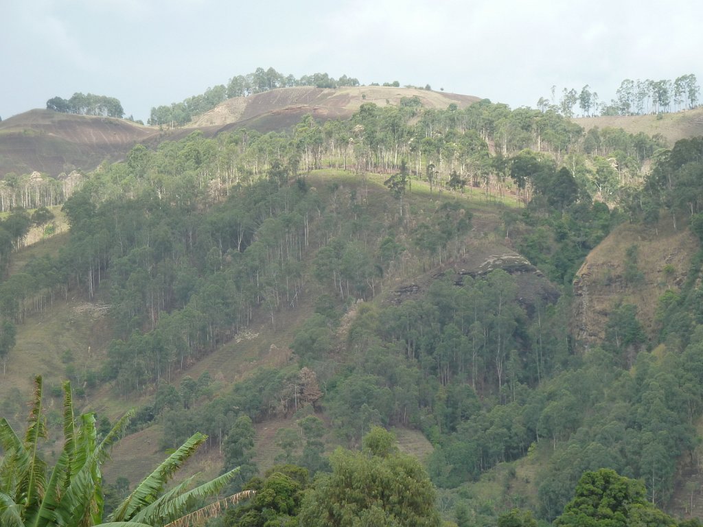 Landscape near Kumbo