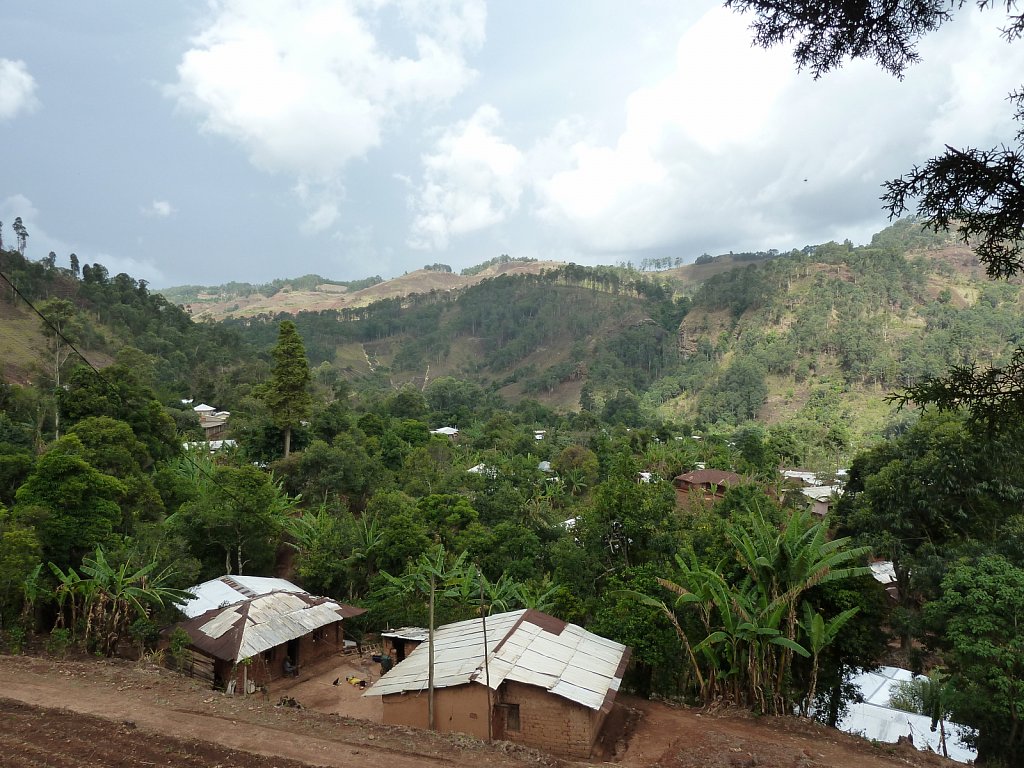 Landscape near Kumbo