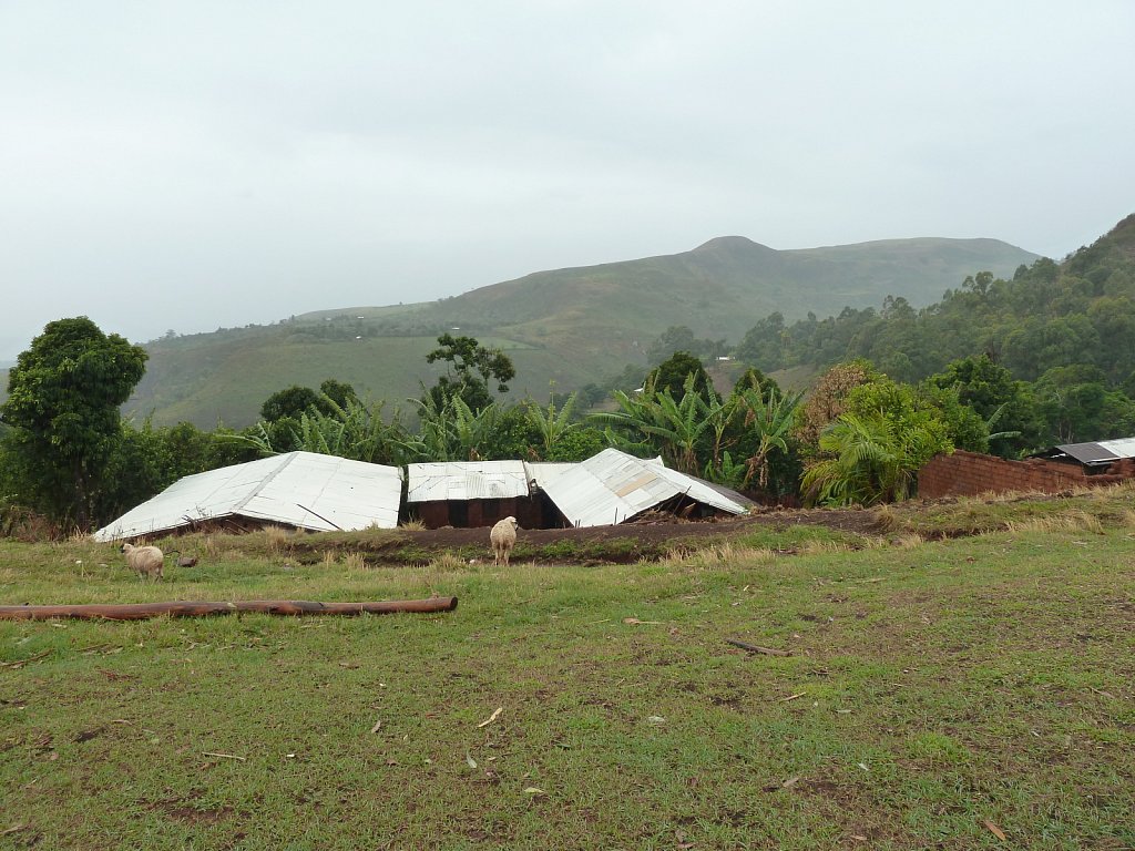 Yangkitari