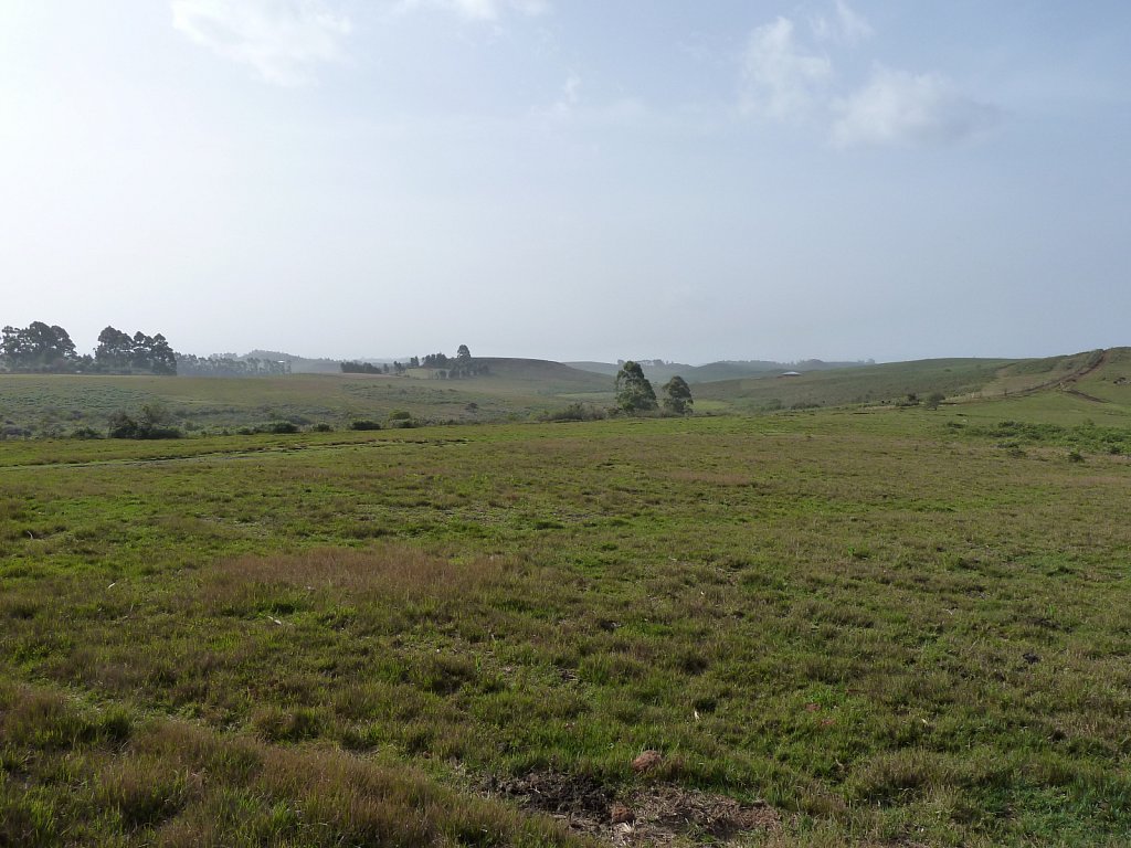Landscape near Yangkitari
