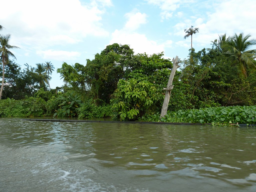 Riverbank of a klong