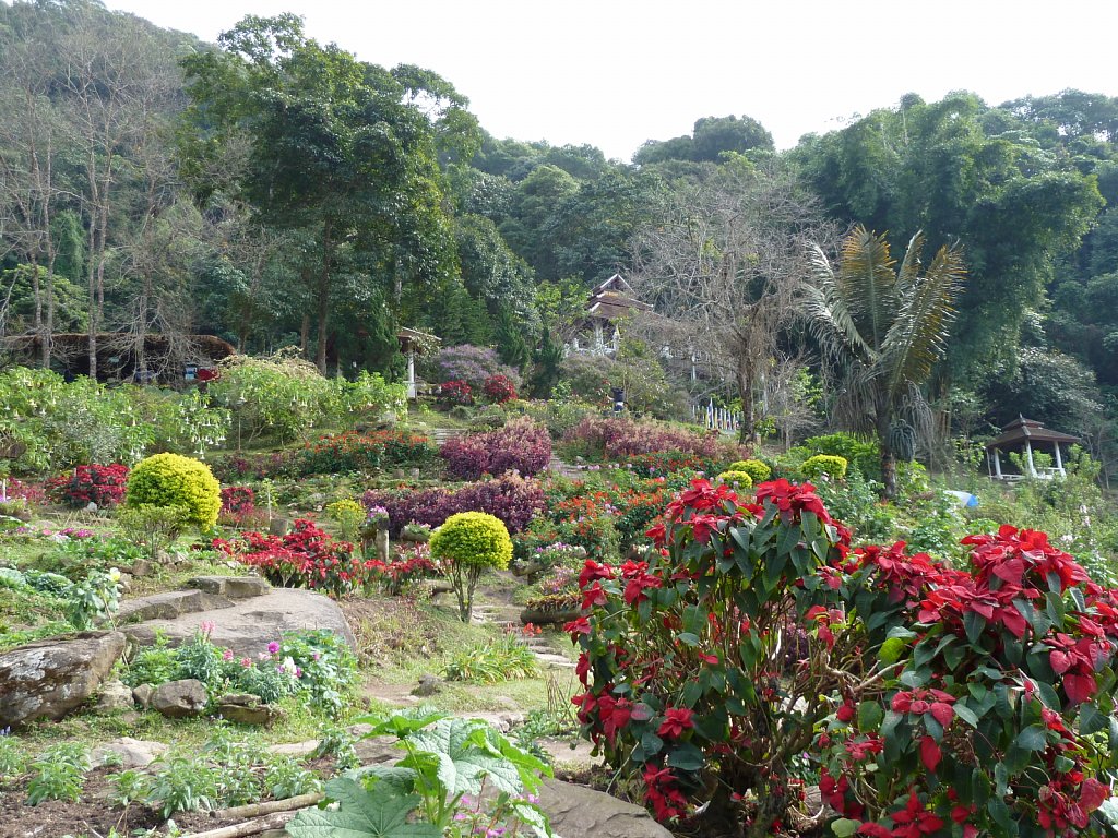 Park in Ban Doi Pui